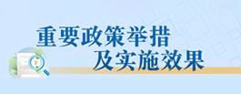 重要政策舉措及實施效果