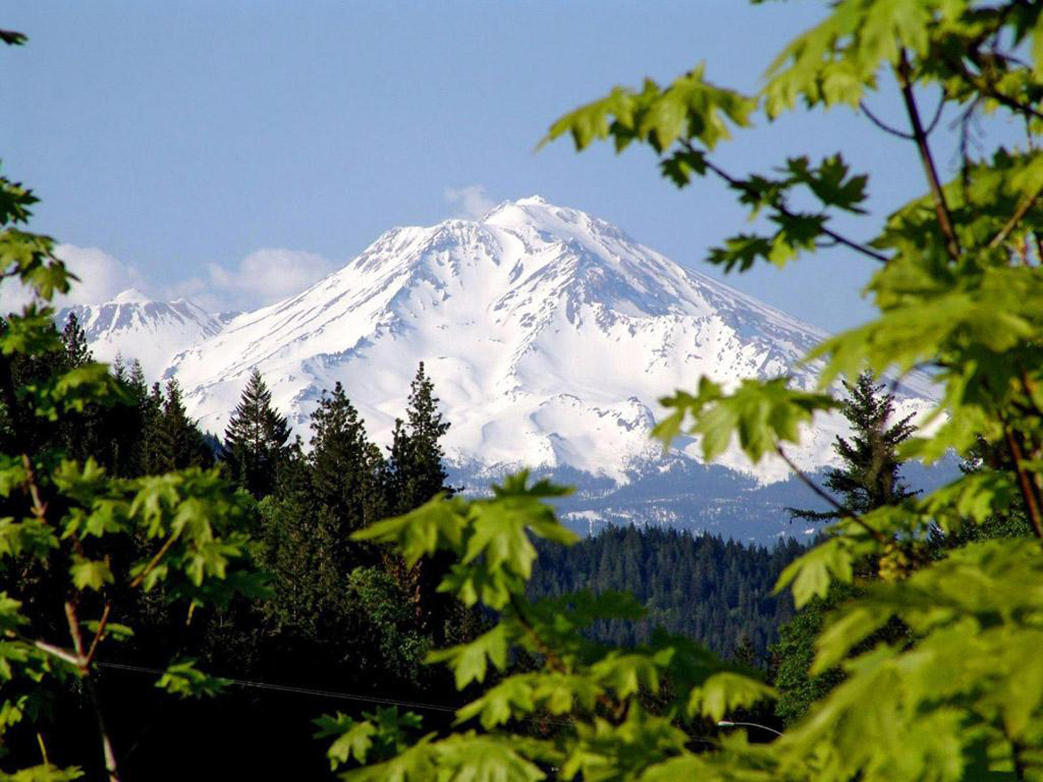 重新定義危機(jī):企業(yè)“涅槃重生”的5種做法4.jpg 重新定義危機(jī):企業(yè)“涅槃重生”的5種做法4.jpg