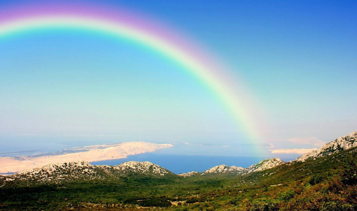 重新定義危機(jī):企業(yè)“涅槃重生”的5種做法5.jpg 重新定義危機(jī):企業(yè)“涅槃重生”的5種做法5.jpg