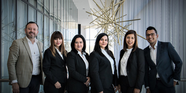 組織 人力咨詢(xún)